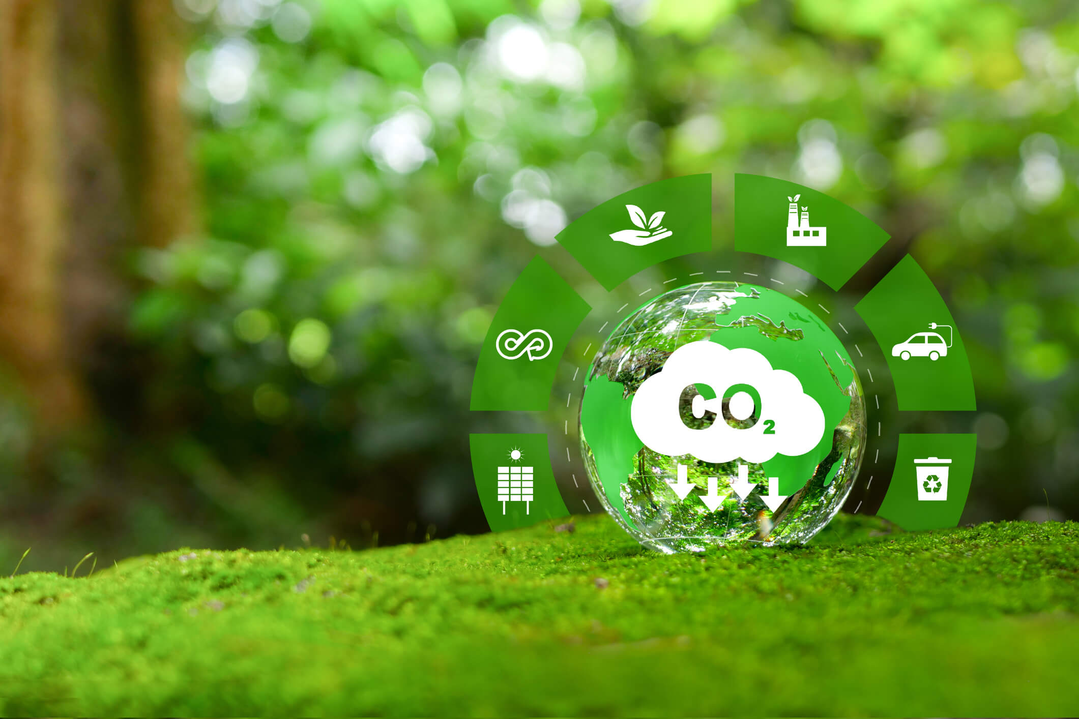 Certificate Carbon Footprint Management